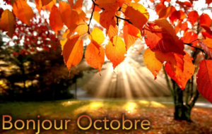 Calendrier OCTOBRE 2025