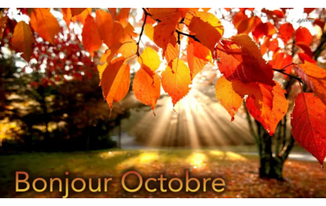 Calendrier OCTOBRE 2025